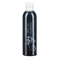 &Scaron;amp&oacute;ny pre mačky