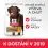 Hill's Science Plan Healthy Mobility pre veľk&eacute; dospel&eacute; psy s kurac&iacute;m 2 x 14 kg
