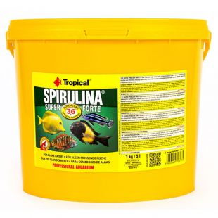 TROPICAL Spirulina Forte 36% 5L/1kg