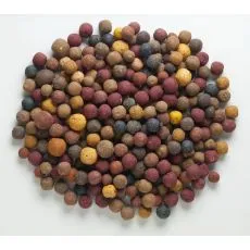 Mivardi Rapid boilies - 2,5 kg Multi Mix