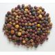 Mivardi Rapid boilies - 2,5 kg Multi Mix