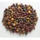Mivardi Rapid boilies - Multi Mix 2,5kg