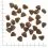 WOLFSBLUT Hunters Pride 12,5 kg