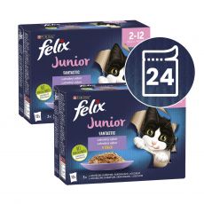 Felix Fantastic Junior lahodný výber 24 x 85 g