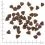 WOLFSBLUT Wide Plain Small Breed 7,5 kg
