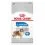 ROYAL CANIN Maxi Light Weight Care di&eacute;tne granule pre veľk&eacute; psy 2 x 12 kg