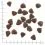 WOLFSBLUT Wide Plain Adult 2 x 12,5 kg