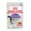 Royal Canin Sterilised Gravy kapsička pre kastrovan&eacute; mačky v &scaron;ťave 24 x 85 g