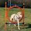 Agility prek&aacute;žka pre psov, kruh 115x65cm