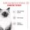 ROYAL CANIN Kitten granule pre mačiatka v ich druhej fáze rastu 2 kg