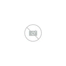 Insekticid Effect Universal na hmyz, 400 ml | ABC-ZOO