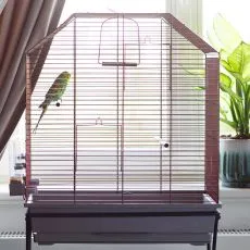 Klietka pre andulky Ellie Art. Deco 53,5 x 33,7 x 61 cm