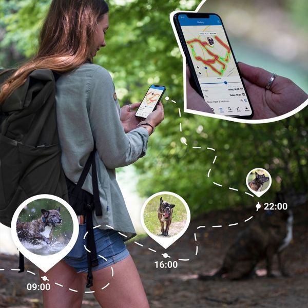 Tractive GPS DOG 4 – Sledovanie Polohy A Aktivity Vášho Psa ...