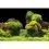 Pozadie do akv&aacute;ria ROCK/PLANTS XL - 150 x 60 cm