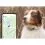 Tractive GPS DOG XL &ndash; sledovanie polohy a aktivity v&aacute;&scaron;ho psa &ndash; zelen&aacute; farba