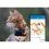 Tractive GPS CAT Mini + obojok &ndash; sledovanie polohy a aktivity va&scaron;ej mačky &ndash; tmavomodr&aacute;
