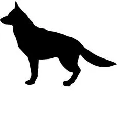 Granule pre veľk&eacute; plemen&aacute; psov