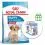 ROYAL CANIN Medium Puppy granule pre &scaron;teňat&aacute; stredn&yacute;ch plemien do 12 mesiacov 15 kg + 10 kapsičiek ZADARMO