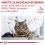 Royal Canin VHN Cat Gastrointestinal 12x85 g