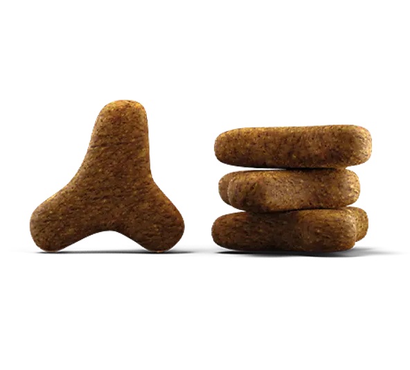 2025-11-11_12_37_48-FESTIVAL___Josera_Petfood.png