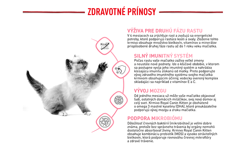 FHN_KITTEN_DRY_SK-3.png