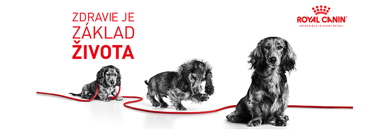MEDIUM_PUPPY_ENHANCED_CONTENT_SVK-1.png