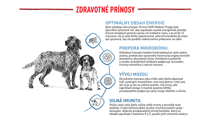 MEDIUM_PUPPY_ENHANCED_CONTENT_SVK-3.png