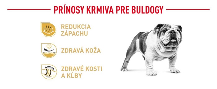 bulldog02.jpg