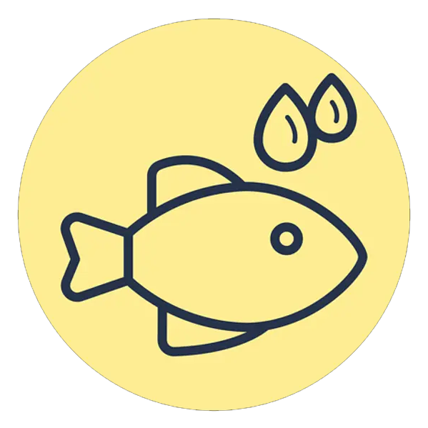 omega3_1.png