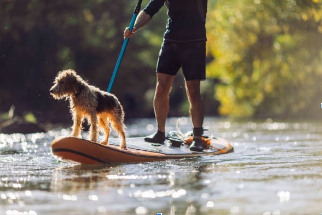 paddleboard_1.jpg