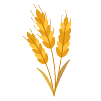 grain_free.png