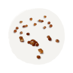 quinoa.png