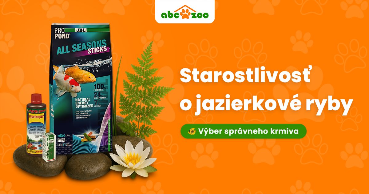 Ako vybrať správne krmivo na podporu zdravia a vitality jazierkových rýb?