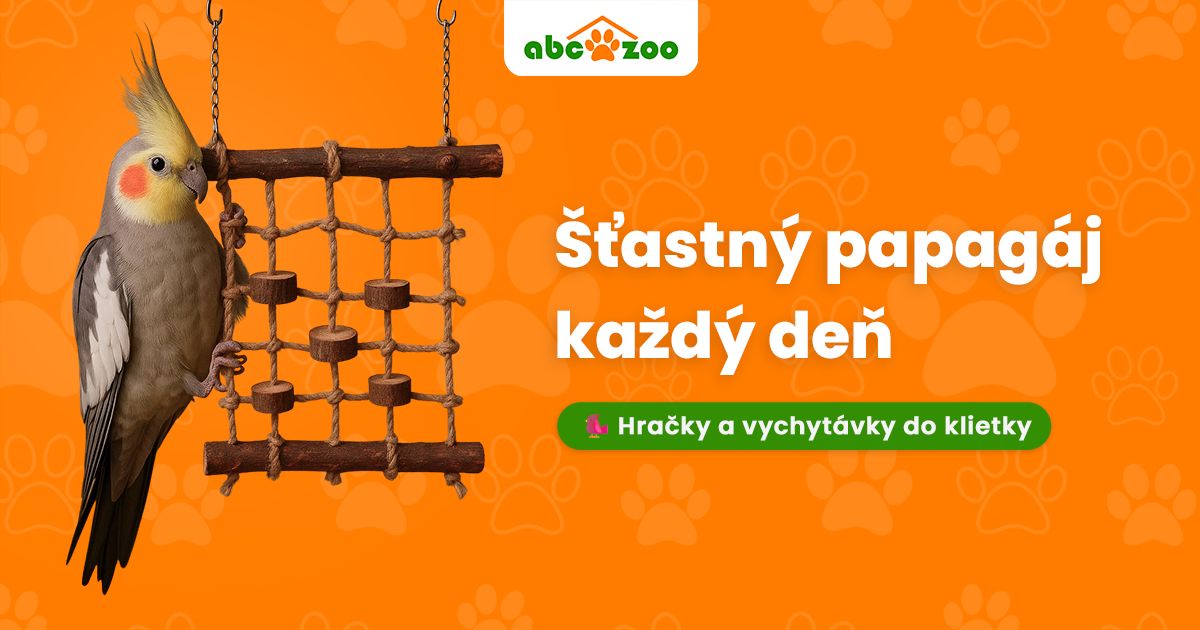 Ako vytvoriť z klietky pre papagája raj plný zábavy?