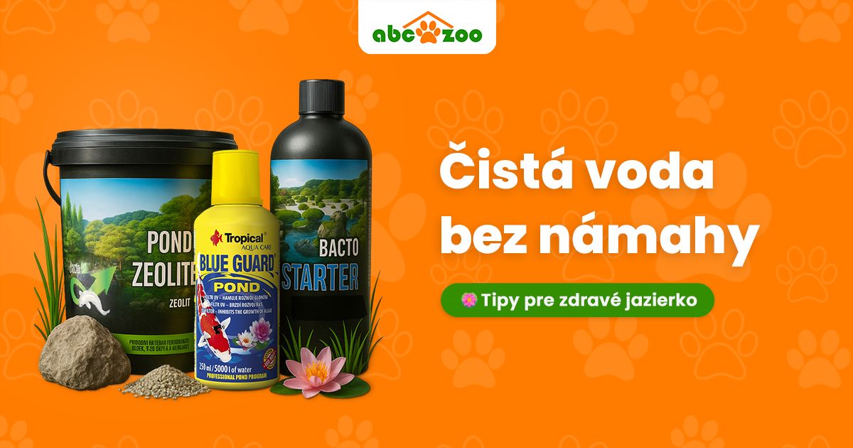 Ako udržať vodu v jazierku čistú a bez rias?