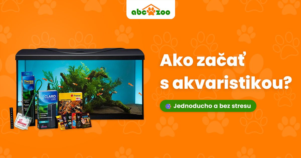 Akváriové sety: Ideálna voľba pre začiatočníkov