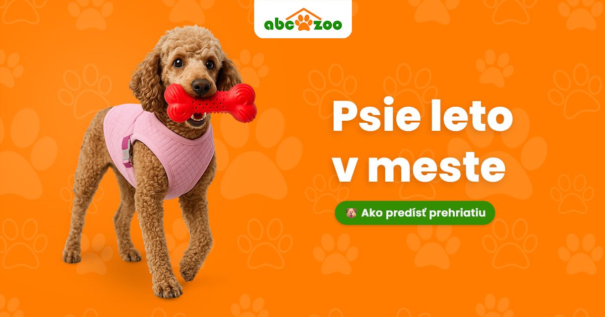 Horúce leto v meste: Keď tieň a voda nestačí