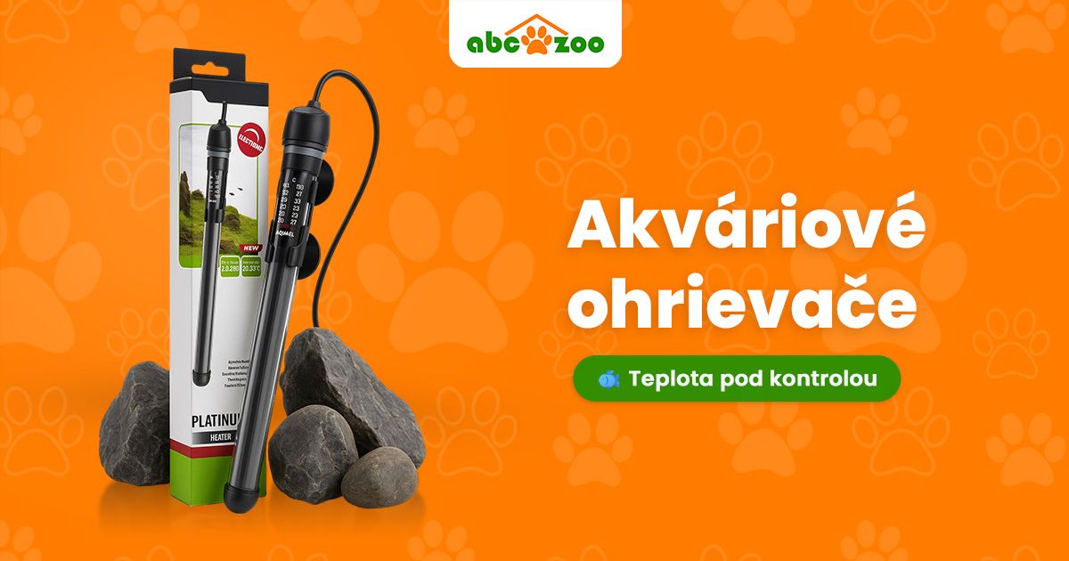 Teplo pod hladinou: Prečo je akváriový ohrievač kľúčový pre tvoje akvárium?