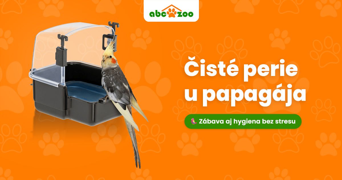 Ako správne kúpať papagája bez stresu? 4 jednoduché a overené spôsoby