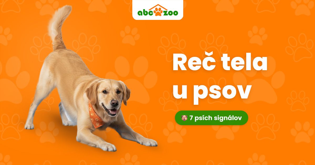 Psia reč tela: Ako čítať 7 kľúčových signálov