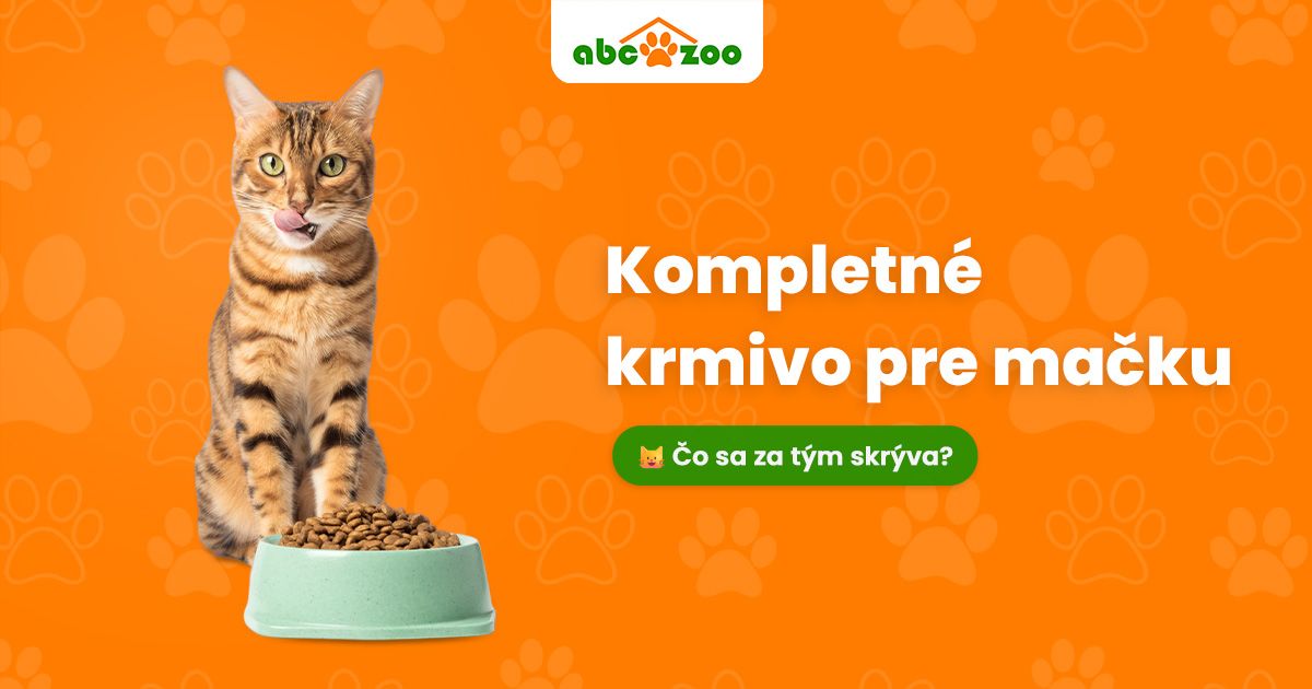 Zdravie mačky začína v miske: Čo by malo obsahovať kvalitné krmivo a prečo na tom záleží?