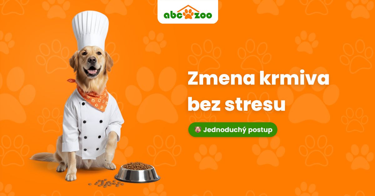 Ako hladko prejsť na nové krmivo pre psa či mačku?