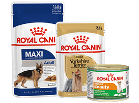 Vlhké krmivo Royal Canin