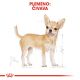 ROYAL CANIN Chihuahua Adult granule pre dospelú čivavu 3 kg