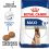 ROYAL CANIN Maxi Adult 5+ granule pre dospelé starnúce veľké psy 15 kg - POŠKODENÝ OBAL