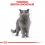 Royal Canin British Shorthair kapsička pre britské krátkosrsté mačky v šťave, 24 x 85 g