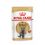Royal Canin British Shorthair kapsička pre britské krátkosrsté mačky v šťave, 24 x 85 g