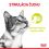 Royal Canin FHN Sensory Smell Gravy 24 x 85 g