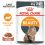 Royal Canin Hair & Skin Care Gravy kapsička pre mačky v šťave 36 x 85 g