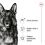 ROYAL CANIN Maxi Adult granule pre dospel&yacute;ch psov veľk&yacute;ch plemien 15 kg + 2 konzervy ZADARMO
